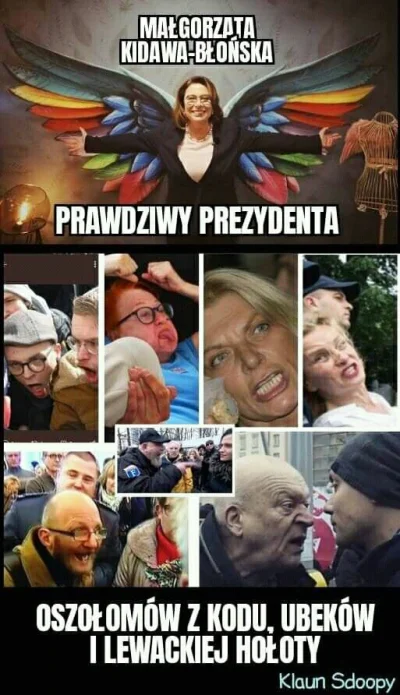 k....._ - #heheszki #polityka #polska #4konserwy #bekazlewactwa #wybory #humorobrazko...