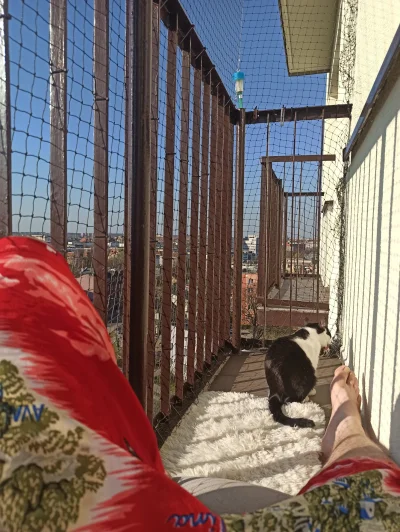 Gmeras - @JanuszKarierowicz a ja mam mieszkanie i leżę na balkonie