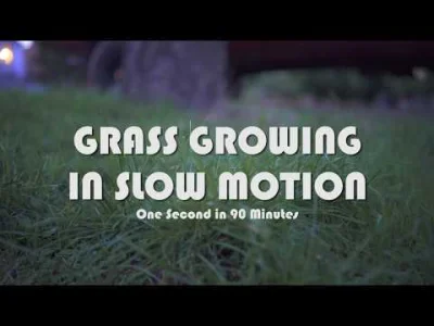 Gorion103 - Dla znudzonych przez koronawirusa macie film do obejrzenia:

Grass Grow...