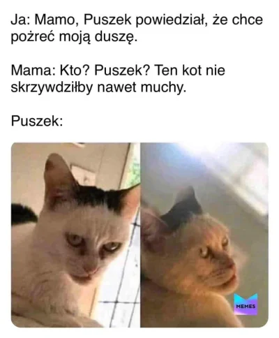 Brawuurka - #heheszki #humorobrazkowy #koty