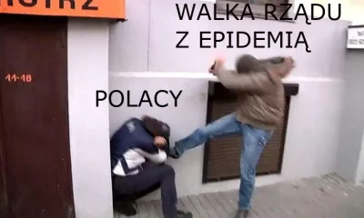 DOgi - W Polsce stabilnie.