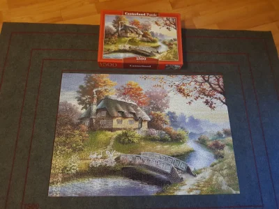 kijanka23 - #puzzle 2/3 done ʕ•ᴥ•ʔ zeszło 6 dni na to