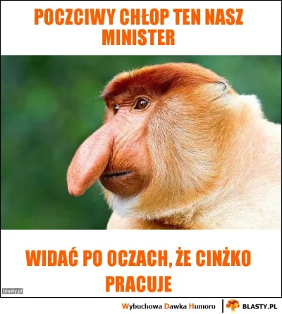 goldboy - #nosaczsundajski #bekazpisu #heheszki #humorobrazkowy