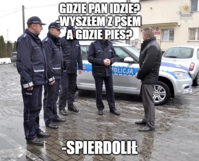 mem1000 - #policja #koronawirus #bekazpodludzi #heheszki #pies #oszczedzanie 
A Wy j...
