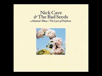 Catit - Nick Cave- O'Children

#muzyka #nickcave