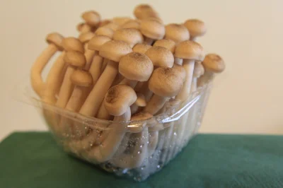 i-kamieni-kupa - @shinigami26: wyglądają jak grzyby shimei. Sprzedawane w Polsce są s...