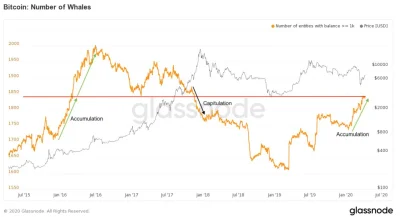 cryptoqueenpl - @cryptoqueenpl: Liczba Bitcoin-wielorybów osiągnęła 2 letnie maksimum...