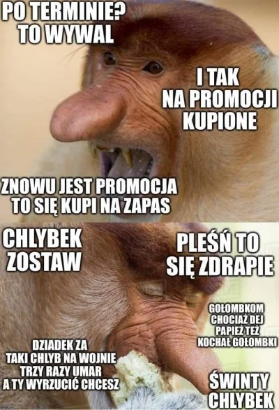 pepe_czarodziej