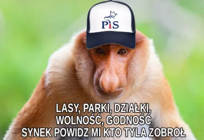 milox - #nosacz #nosaczsundajski #polak #koronawirus