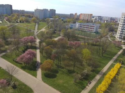 Atktona_tyle - Ojojoj, mieszkanie w wielkiej płycie takie złe, brak zieleni i miejsca...