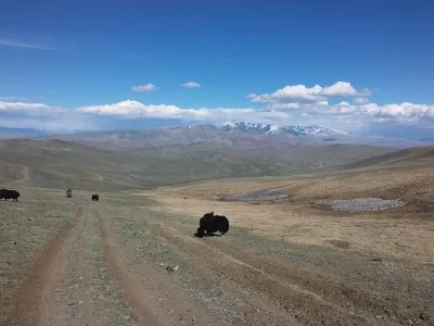 mpetrumnigrum - W ramach weekendowej nudy i planów. Podsyłam zdjęcia z Mongolii po kt...
