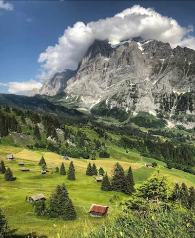 cheeseandonion - Grindelwald, Szwajcaria

#eathporn