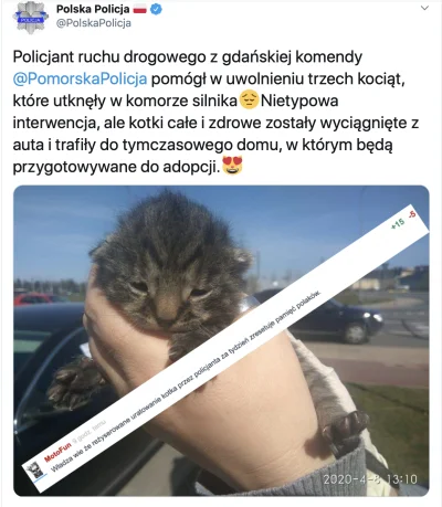 M.....n - Dziś napisałem komentarz: "Władza wie że reżyserowane uratowanie kotka prze...