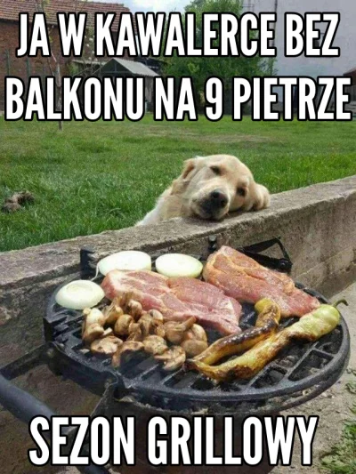 SlodzeGorzkieZale - #humorobrazkowy #heheszki #memy #tworczoscwlasna #zalesie