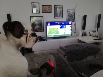 szczepeq - Dobra. Z tych całych nudów, nauczylem Ossie grać w #fifa19. I to #!$%@? ta...