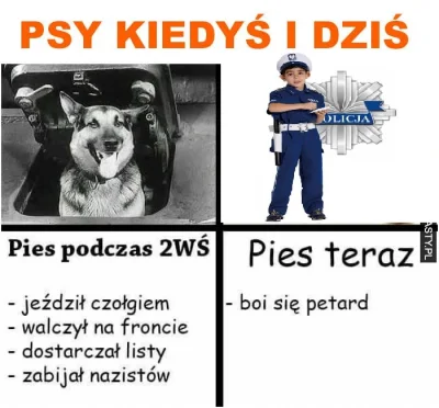 arcxa - Do czego to doszlo, ze policja ucieka przed obywatelem.