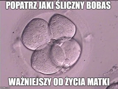 lakukaracza_ - #bekazkatoli #neuropa #polska
