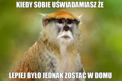 Kamilzon - Taki memik,
#malpynarodowe #koronawirus #wloch #wlochy #humorobrazkowy