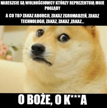 saakaszi - #neuropa #bekazprawakow #bekazkatoli #heheszki #humorobrazkowy #konfederac...