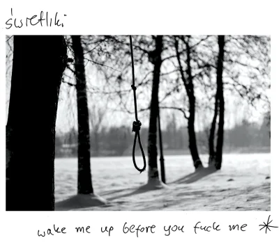 ksaler - Nowe Świetliki "Wake me up before you fuck me" (#!$%@? kto to wymyśla? xD) s...