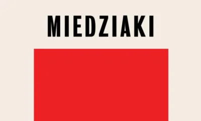 Arytmia-eu - I chociaż Miedziaki to fikcja, cała historia niestety oparta jest na fak...