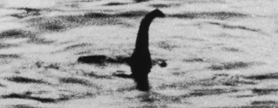 Proktoaresor - W związku z kwarantanna natura odżywa!
Potwór wrócił do Loch Ness.
#...
