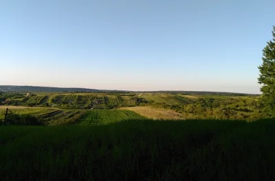 aniaczy - Tęsknię za naturą i bezpośrednim kontaktem z najbliższymi. (づ•﹏•)づ