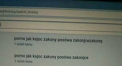 salamsalejman - Jeden koprofil, drugi klerofil
#kononowicz #patostreamy