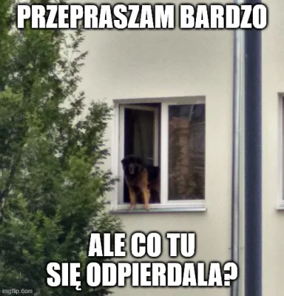 Rules - #memy #heheszki #humorobrazkowy #tworczoscwlasna #humor