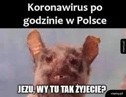 bucz_bula - Mi się tu dobrze żyje i swojsko ale Ci specjaliści nie mają o nas pojęcia...