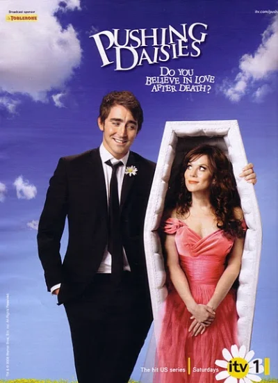 Bumblebeeee - @otootooto: Pushing Daisies/Gdzie pachną stokrotki