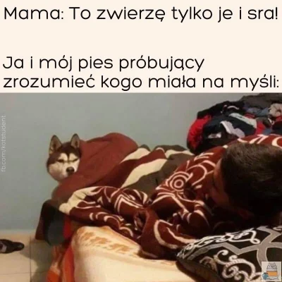 LewCyzud - #heheszki #humorobrazkowy