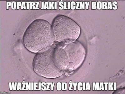 gora-adam90 - czy nie znacie takiego pojęcia jak jakość życia? po co niechciani ludzi...