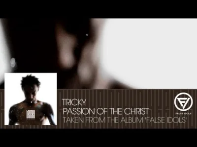 name_taken - Tricky - Passion Of The Christ
#triphop #tricky #downtempo