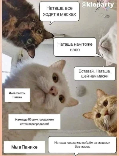 Magadanka - #kitku #koty #heheszki #humorobrazkowy #rosyjski #jezykrosyjski #kotonawi...