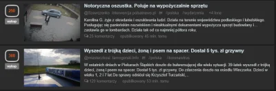 tellet - Tak wygląda kraj z dykty i gówna...