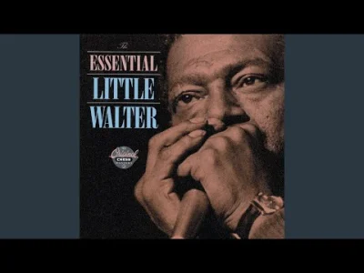 corvacs - @corvacs: 

#50bluesmanow


10/50
Little Walter

Jimi Hendrix Harmo...