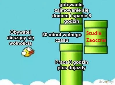 Cierniostwor - Właśnie klepie stronę we Flasku na jutrzejsze zaliczenie, zainspirował...