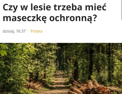 jaroty - Od poniedziałku możliwe będzie odwiedzanie lasów i parków. Czy tam również t...