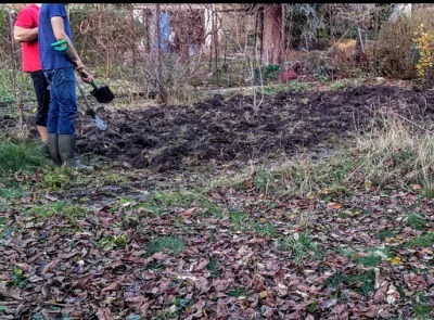 Chrzonszcz - #!$%@? taki ogródek łopatą jeden z drugim i ani śladu po garbie na szyi ...