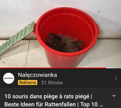 PotwornyKogut - nie ma to jak trafiona reklama