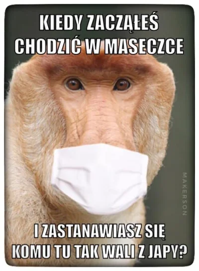 nabbek - ( ͡° ͜ʖ ͡°)
#polak #humorobrazkowy #heheszki #humor #nosaczsundajski