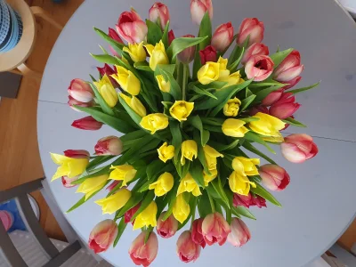 Pomagier - W #holandia z powodu wirusa można sobie teraz kupić tanio kwiaty. 36.95 za...