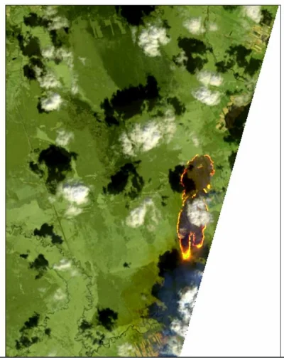C.....0 - @cultofluna: Fragment pożarów lasu w Biebrzańskim Parku Narodowym uchwycony...
