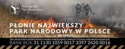 kadbery - Mirki megaważna sprawa. Płonie największy polski park narodowy. Potrzebują ...