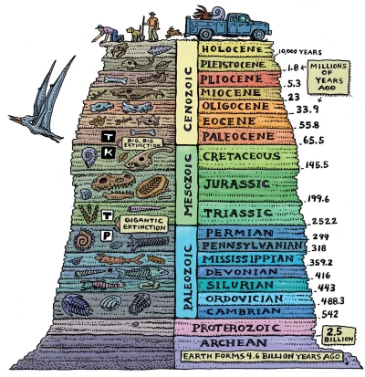 W.....0 - I pyk, w końcu wszyscy lubimy kolorowe obrazki

#ewolucja #geologia #nauk...