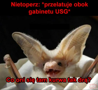 S.....i - #heheszki #humorobrazkowy #pdk