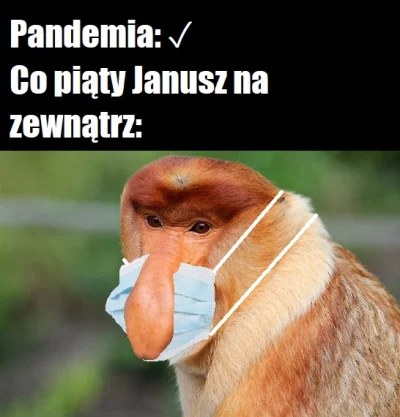 omgzpwnd - #koronawirus #memy #heheszki