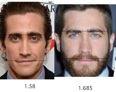Djuk94 - @Blackpill_RAW: Dokładnie, Gyllenhaal ma niskie fwhr, a nie wygląda, jakby m...