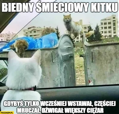 luckyluke_ - To słowa "... gdybyś tylko wcześniej wstawał, częściej mruczał, dźwigał ...